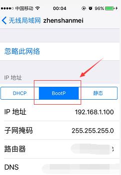 苹果手机如何显示WiFi密码（简单方法帮您找回WiFi密码）