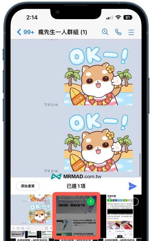 iPhone照片马赛克（轻松保护照片隐私，打造个人专属马赛克效果）  第3张