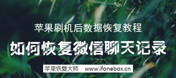 电脑数据恢复方法教程（从备份到专业工具，助你找回丢失的重要数据）  第2张