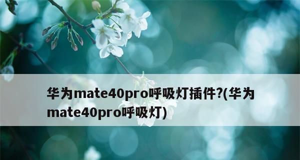 华为手机未接来电不显示的解决方法（解决华为手机未接来电不显示问题的实用技巧）  第3张