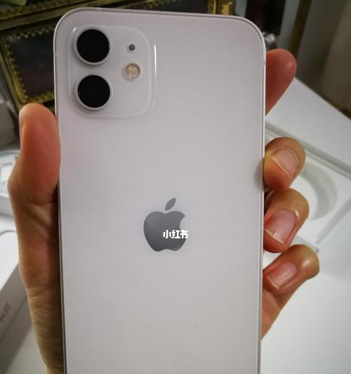 购买iPhone12还是iPhone13？如何选择更适合你的智能手机（iPhone12和iPhone13的区别、性能对比和价格评估）  第2张