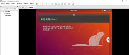 虚拟机安装Linux系统教程图解（详细介绍虚拟机中安装Linux系统的步骤与注意事项）  第3张