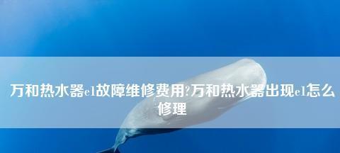 解决万和热水器显示E4故障的方法和维修指南（万和热水器E4故障分析及详细解决方案）  第2张