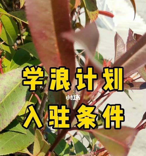 学浪入驻条件和收费详解（了解学浪入驻所需条件和费用详情）