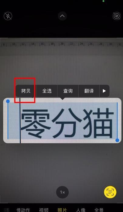 以苹果为主题的文章（探索苹果的多样魅力）