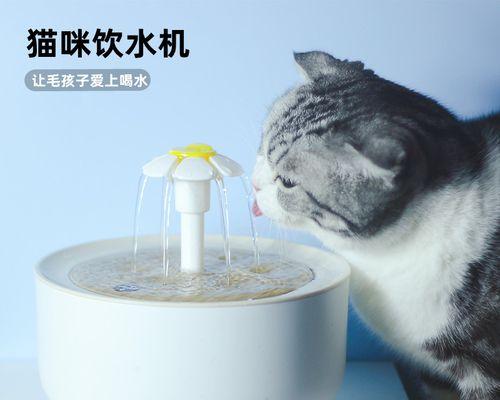 如何防止猫饮水机发霉（以简单方法保持猫饮水机清洁与卫生）  第3张