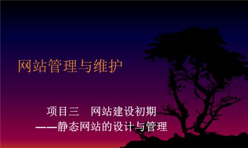 网站管理与维护的技巧（有效提升网站运营效果的关键技巧与实践经验）  第2张