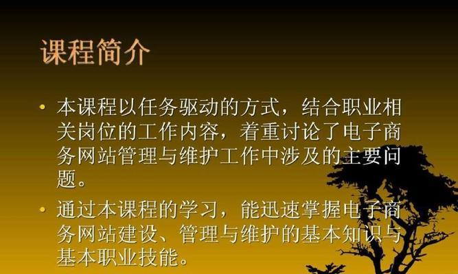 网站管理与维护的技巧（有效提升网站运营效果的关键技巧与实践经验）  第1张