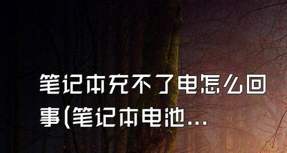 电脑无法充电的原因及解决方法（电脑充电故障的常见原因及解决方案）  第2张