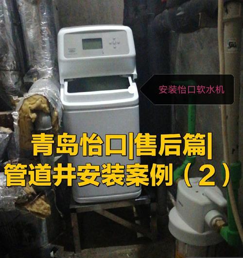 净水器上水后不出水怎么办（解决净水器上水不出水的实用方法）