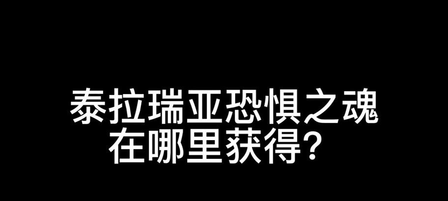 泰拉瑞亚黑暗之魂怎么玩？游戏中的黑暗之魂有何特点？  第3张