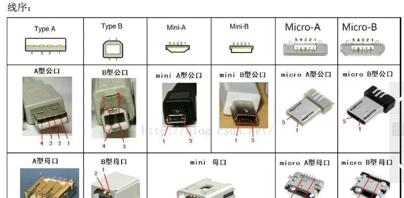 打印机如何连接USB端口？操作步骤是什么？