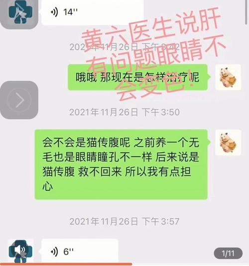 安达手机拍照讲座如何参与？  第3张